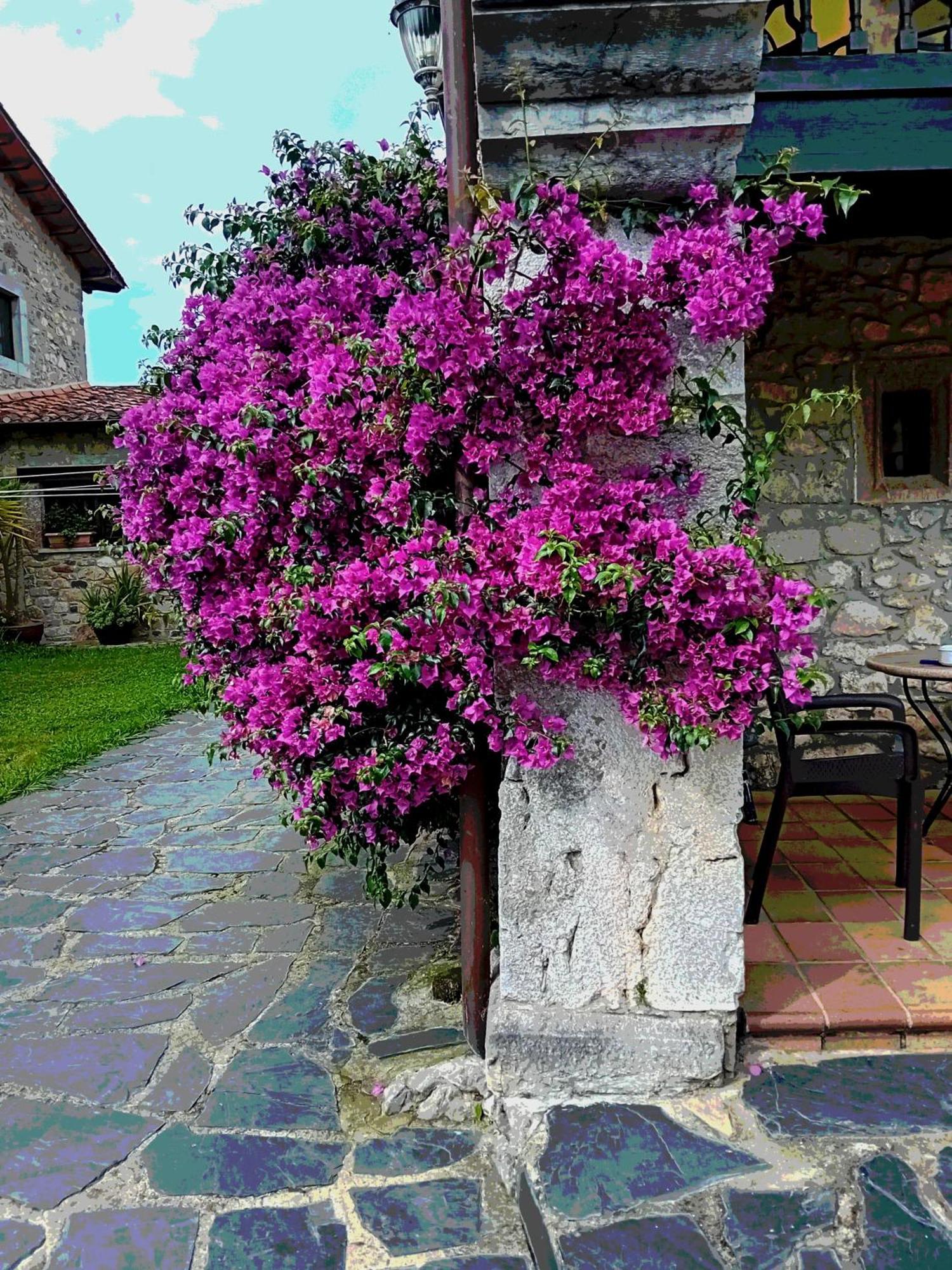 Gran Pedroso De Llanes Villa ภายนอก รูปภาพ